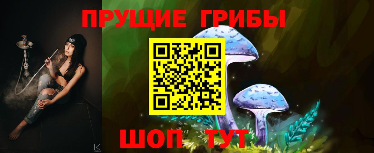 Псилоцибиновые грибы прущие грибы Ахтубинск